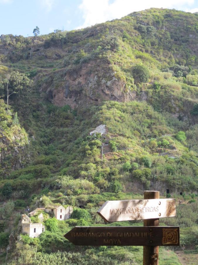 La Cueva De Angel B&B Firgas Exterior photo